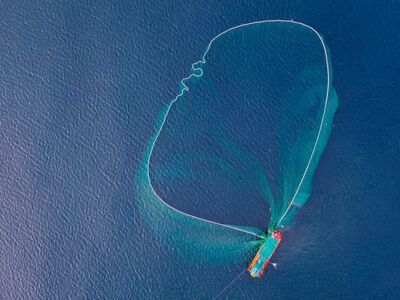 vietnam, phu yen, sea, boat, fishing net, aerial view, landscape, blue, water, fishing, natural, colorful, southeast asia, fishing boat, nature, catch, calm, oar, coastal, tourism, sustainability