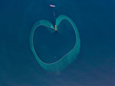 fishing, shore, net, boat, watery, nature, blue, shape, aerial view, natural, beach, practice, catch, vietnam, phu yen, coastal, panorama, sea, circular, equipment, activity