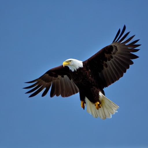bald eagle, bird, wildlife, nature, spring, birdwatching, avian, wings, feather, bird photography, wild bird, outdoor photography, blue sky, flight, close up, nature photography, pacific northwest, young, garden bird — Винтаж