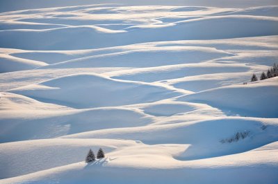 snow, winter, nature, cold, landscape, snowdrift, snowy, frost