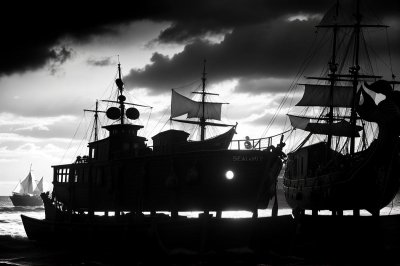 sea shanty music, shanties, sea shanties, whelk, horn snail, sea animal, snail shell, casing, shell, piano, piano keyboard, concert, songs, to sing, choir, sounds, music, melody, the sound of the sea, shanty choir
