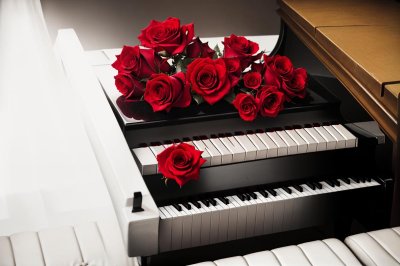 valentine's day, heart, roses, piano, keyboard, red, love, romantic, music, gentle, symbolism, beautiful, message, decoration, atmosphere, delicacy, objects, lighting, passion, valentine card, minimalism