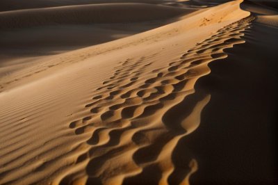 desert, sand, dunes, ripples, wallpaper 4k, texture, sahara, nature, landscape, 4k wallpaper 1920x1080, golden, wallpaper hd, cool backgrounds, desktop backgrounds, sunset, abstract, beautiful wallpaper, waves, patterns, laptop wallpaper, 4k wallpaper, background, orange, full hd wallpaper, free background, heat, dry, hd wallpaper, wilderness, sunlight, mac wallpaper, shadows, earth, minimalist, free wallpaper, travel, serene, windows wallpaper, arid