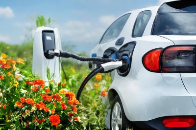 electric car, ev, flower wallpaper, beautiful flowers, load, renewable energy, green energy, flower background, solar panels, wind turbines, durability, environmentally friendly, nature, flowers, automotive, transportation, technology, environment, future, clean energy, outdoor, charging station, modern, ai generated
