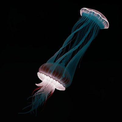 jellyfish, ocean, dark, marine life, underwater, nature, red, blue, striped, illuminated, pulsating, single, art, marine, jelly, beauty, calm, backlight, blue background, delicate