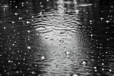 rain, water surface, raindrops, black and white photo, surface, precipitation, wet, circle, texture, pattern, abstract, ripple, minimalism, reflections, drawing, immersion, tread pattern, mirroring, pondering, water