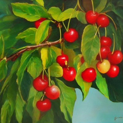 cherries, unripe fruits, beautiful nature, branches, trees, leaves, nature wallpaper, green, red, orange, nature, fruit, nature background, fresh, hd wallpaper, desktop background, horticulture, growing, summer, ripening, organic, food, fresh air