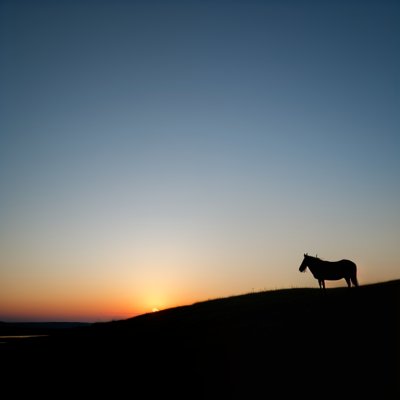 silhouette, twilight, peaceful landscape, blue sky, grazing animals, hilly landscape, dawn, calm evening, idyllic, pasture, tranquility, evening sky, peaceful sunset, rural landscape, grazing cattle, shadow, evening calm, nature, farm