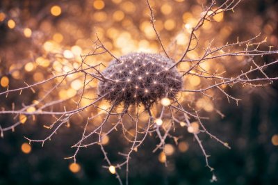artificial intelligence, neurons, network, explosion, light, creativity, energy, future, thinking, electric, clouds, blue, orange, science, nature, modern, optical, computer, digital, interaction, innovation