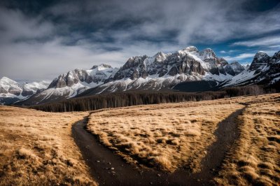 nature, mountains, landscape, snow, hiking, trail, journey, adventure, picnic, sunny, view, tourist guide, expedition, natural beauty, climbing, panorama, prairie, summit, meadow, us