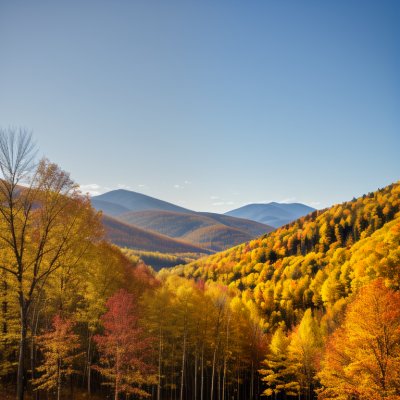 autumn, landscape, forest, mountains, yellow leaves, autumn trees, golden colors, sunlight, blue sky, mountain landscape, fall colors, lighting, natural scenery, autumn foliage, tourist attraction, nature, rural area, deciduous forest, view, outdoor, walk, natural beauty